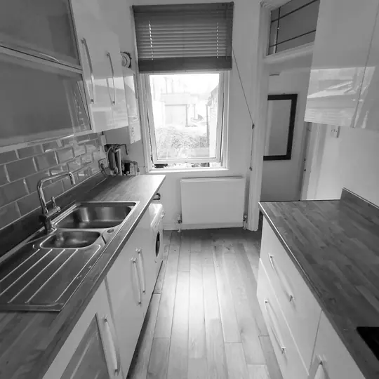 Monochrome Lordship Lane kitchen joinery